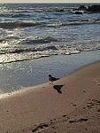     
: 415d4f97-64be-428e-bf87-0fd3c2a1cfac.jpg
: 6
:	183.1 
ID:	13518615