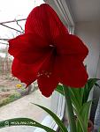     
: P00307-101339.jpg
: 4
:	64.4 
ID:	13519400