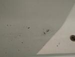     
: IMG_20211004_143800.jpg
: 48
:	50.6 
ID:	13519604