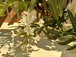     
: 20210804_065808.jpg
: 8
:	182.1 
ID:	13520743