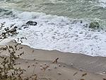     
: IMG_20211009_075912.jpg
: 24
:	197.5 
ID:	13520848