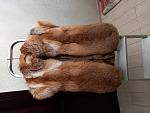     
: 20210923_170653.jpg
: 21
:	132.7 
ID:	13521865