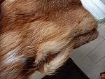     
: 20210923_170757.jpg
: 20
:	164.3 
ID:	13521866