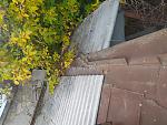     
: IMG_20211016_111228.jpg
: 4
:	232.3 
ID:	13522562