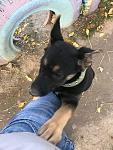     
: IMG_20211018_173719_585.jpg
: 20
:	117.4 
ID:	13522792
