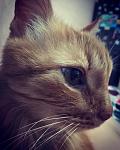     
: C5E77F20-537A-478A-A56D-87EABC6D25A7.jpg
: 40
:	54.3 
ID:	13523350