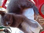     
: 20211023_155037.jpg
: 35
:	192.2 
ID:	13524079