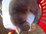     
: 20211023_155029.jpg
: 46
:	166.9 
ID:	13524085