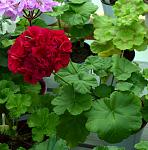     
: 50148066973_713f85f69d_b.jpg
: 7
:	210.8 
ID:	13525792