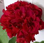     
: 9nPQN0n5DHU.jpg
: 7
:	96.9 
ID:	13525793
