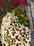     
: IMG_20211029_123726.jpg
: 8
:	215.3 
ID:	13526180