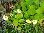     
: IMG_20211029_123742.jpg
: 8
:	266.5 
ID:	13526182