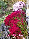     
: IMG_20211029_123808_1.jpg
: 8
:	226.4 
ID:	13526183