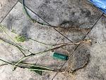     
: IMG_3923.jpg
: 20
:	304.2 
ID:	13526404