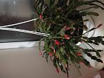     
: IMG_20211106_195707.jpg
: 9
:	109.4 
ID:	13527166