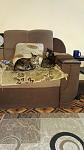     
: IMG-c437bec576171d0e8ae5f5fae4f3b1c7-V.jpg
: 51
:	64.5 
ID:	13527172