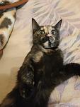     
: IMG-1899aabc1f91c46998f5434f4cfb85bd-V.jpg
: 49
:	65.5 
ID:	13527173