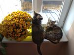     
: IMG_20211024_135634_1.jpg
: 48
:	140.3 
ID:	13527176