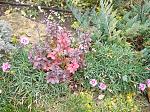     
: IMG_20211105_133225.jpg
: 5
:	309.2 
ID:	13527249