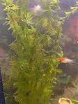     
: IMG_3480.jpg
: 13
:	111.0 
ID:	13527450