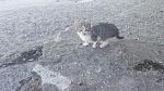    
: 20211110_132421[1].jpg
: 55
:	210.6 
ID:	13528036