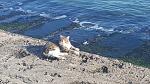     
: 20211110_131921[1].jpg
: 50
:	172.7 
ID:	13528041