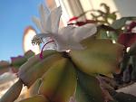     
: IMG_20211112_144322.jpg
: 8
:	80.8 
ID:	13528449