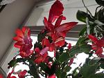     
: IMG_20211116_094534.jpg
: 7
:	115.9 
ID:	13529418