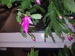     
: IMG_20211117_060459_BURST1.jpg
: 8
:	84.5 
ID:	13529598