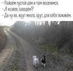     
: index.jpg
: 14
:	7.3 
ID:	13529852
