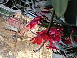     
: IMG_20211119_103011.jpg
: 9
:	200.1 
ID:	13529888