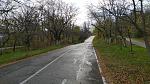     
: P_20211120_101853.jpg
: 14
:	256.0 
ID:	13530016
