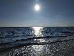     
: IMG_20211121_132424.jpg
: 13
:	177.2 
ID:	13530325