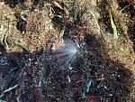     
: IMG_20211121_134459.jpg
: 12
:	308.5 
ID:	13530327