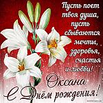     
: s-oksana0035.jpg
: 17
:	50.5 
ID:	13531405