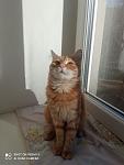     
: IMG_20211117_122843.jpg
: 10
:	63.8 
ID:	13531743