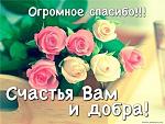     
: kartinki-bol-shoe-spasibo-3.jpg
: 17
:	50.5 
ID:	13532883