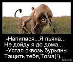     
: .jpg
: 4
:	10.6 
ID:	13534030