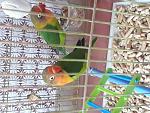     
: 20211021_152705.jpg
: 23
:	188.7 
ID:	13534080