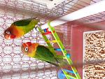     
: 20211021_153553.jpg
: 35
:	151.0 
ID:	13534081