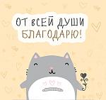     
: 1488373228_020.jpg
: 23
:	111.5 
ID:	13534302