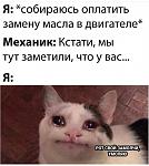     
: D89182B6-582D-430B-95C6-0D4BAA7DB39A.jpg
: 20
:	55.3 
ID:	13534437