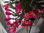     
: IMG_20211207_143959.jpg
: 3
:	144.9 
ID:	13534445