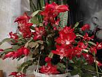     
: IMG_20211204_062323.jpg
: 7
:	120.6 
ID:	13534574