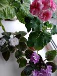     
: IMG_20211217_143716.jpg
: 4
:	95.1 
ID:	13535618