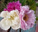     
: 31 05. 06  (13).jpg
: 4
:	168.0 
ID:	13536091
