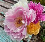     
: 31 05. 06  (14).jpg
: 4
:	149.4 
ID:	13536093