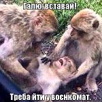     
: 20211223_131303.jpg
: 16
:	51.0 
ID:	13536550