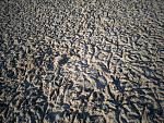     
: 23122021_144632.bqqz_lmcR6.jpg
: 13
:	310.4 
ID:	13536608