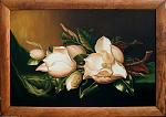     
: !magnolias.jpg
: 22
:	119.9 
ID:	13536909